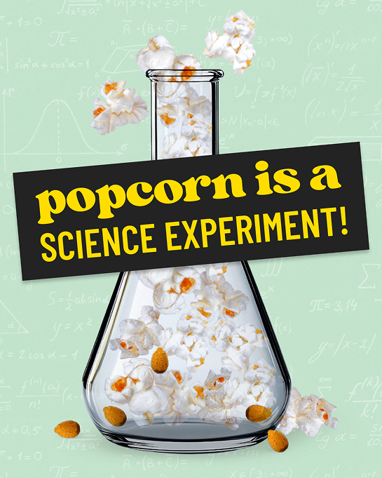 The Science of Popcorn: Why It Pops and How It Shapes Up